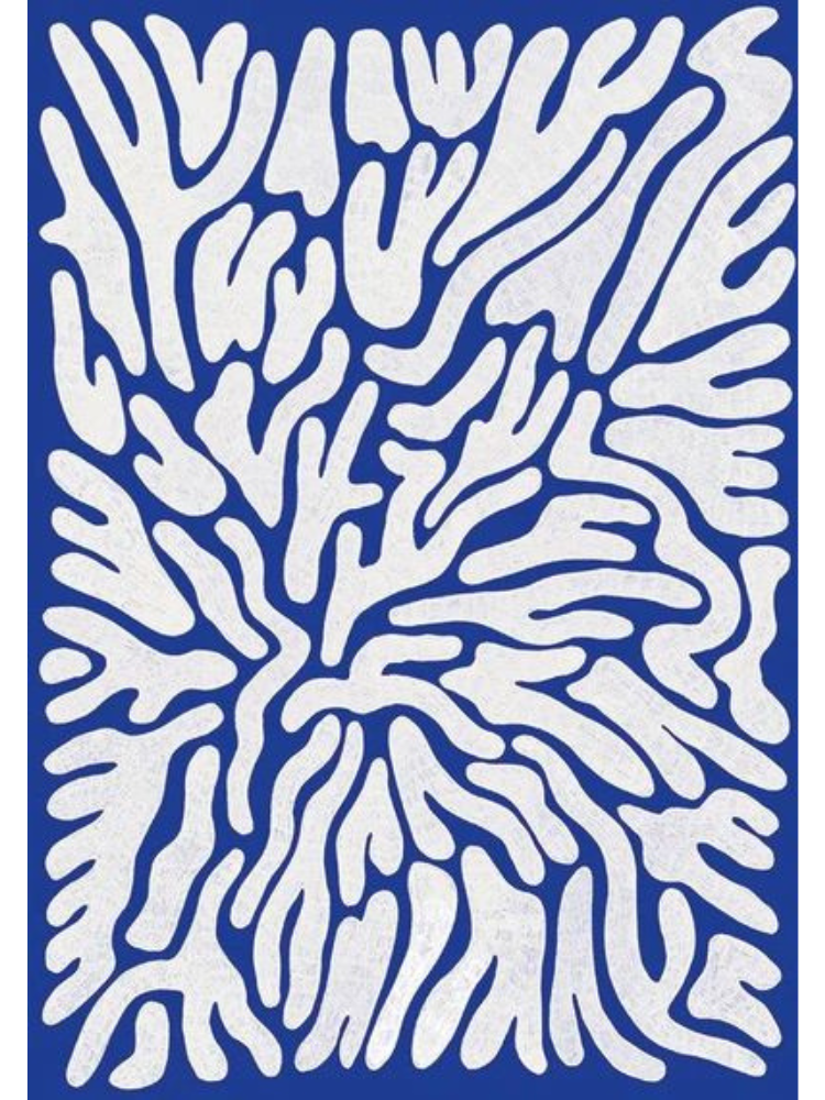 WACi XL — Blue Coral