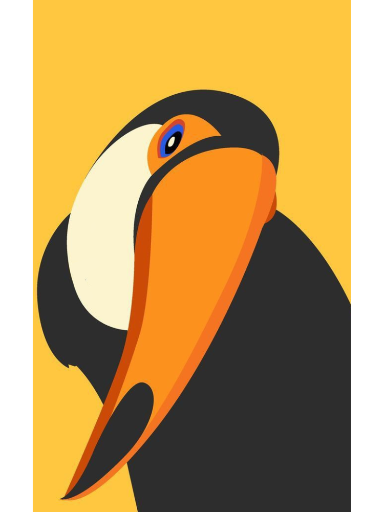 WACi Beach — Toucan